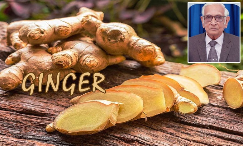 Ginger – Highly Useful Product - Mentioned in Quran and Sunnah: Dr. M.I.H. Farooqi