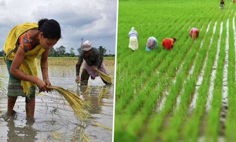 India Positioned for Significant Growth in Agricultural Exports by 2025: Report 1 India Positioned for Significant Growth in Agricultural Exports by 2025: Report