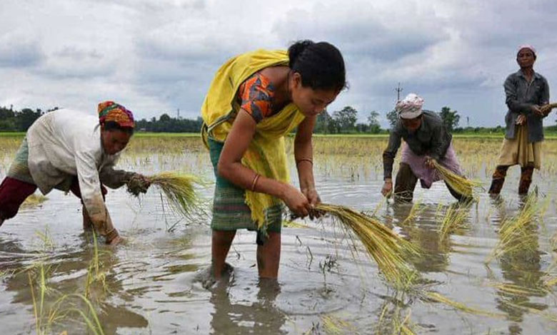 India Positioned for Significant Growth in Agricultural Exports by 2025: Report 2 AGRICULTURE1 India Positioned for Significant Growth in Agricultural Exports by 2025: Report