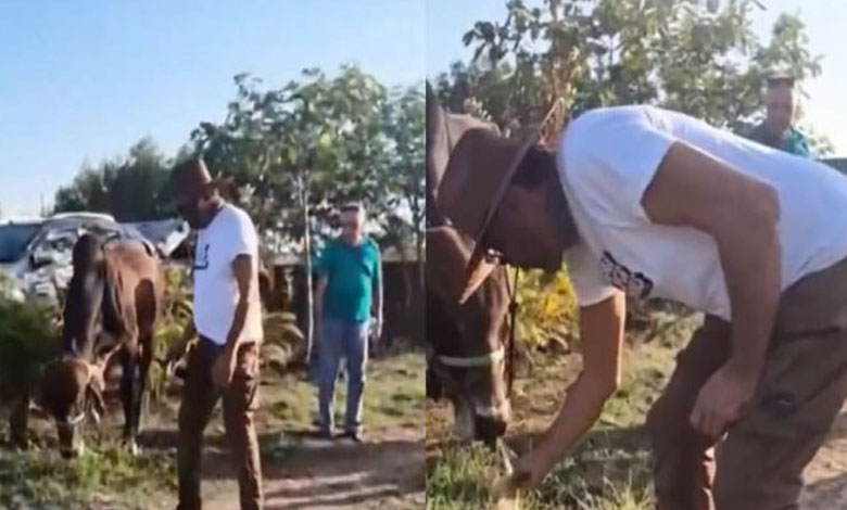 Jackie Shroff Finds 'Peace' in Nature During Visit to Cow Center 1 Jackie Shroff Finds 'Peace' in Nature During Visit to Cow Center