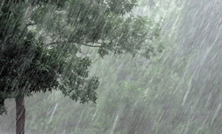 Heavy Rainfall Forecast for Tamil Nadu’s Six Districts 1 Heavy Rainfall Forecast for Tamil Nadu’s Six Districts