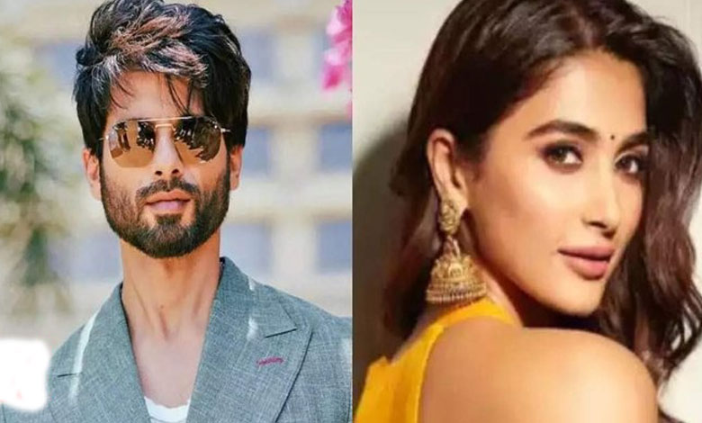 Shahid Kapoor and Pooja Hegde to Perform ‘Bhasad Macha’ at ILT20 Opening in Dubai 1 Shahid Kapoor and Pooja Hegde to Perform ‘Bhasad Macha’ at ILT20 Opening in Dubai