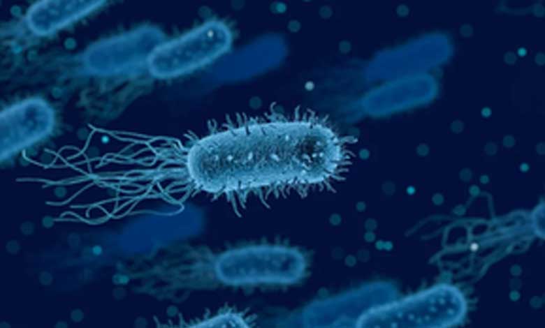 Israeli Researchers Discover Passive Virus Defense System in Marine Bacteria 1 Israeli Researchers Discover Passive Virus Defense System in Marine Bacteria