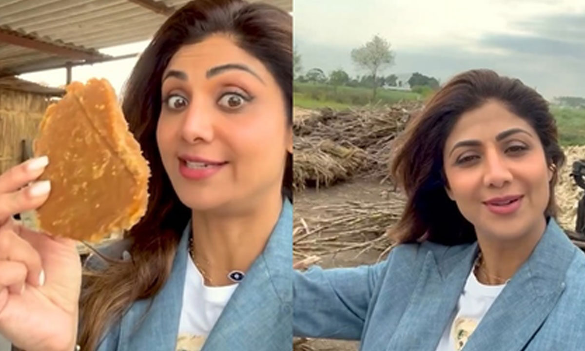 Shilpa Shetty Relishes the Taste of Authentic Desi Gud in Punjab 1 Shilpa Shetty Relishes the Taste of Authentic Desi Gud in Punjab