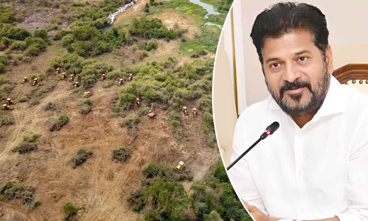 Hyderabad to Get 2,000-Acre World-Class Eco-Park as Government Bows to Environmental and Student Demands 1 Hyderabad to Get 2,000-Acre World-Class Eco-Park as Government Bows to Environmental and Student Demands