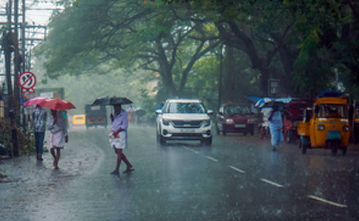 IMD issues yellow alert in Kerala amid heavy rain forecast