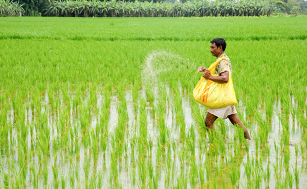 'No shortage of urea', Telangana Minister assures farmers