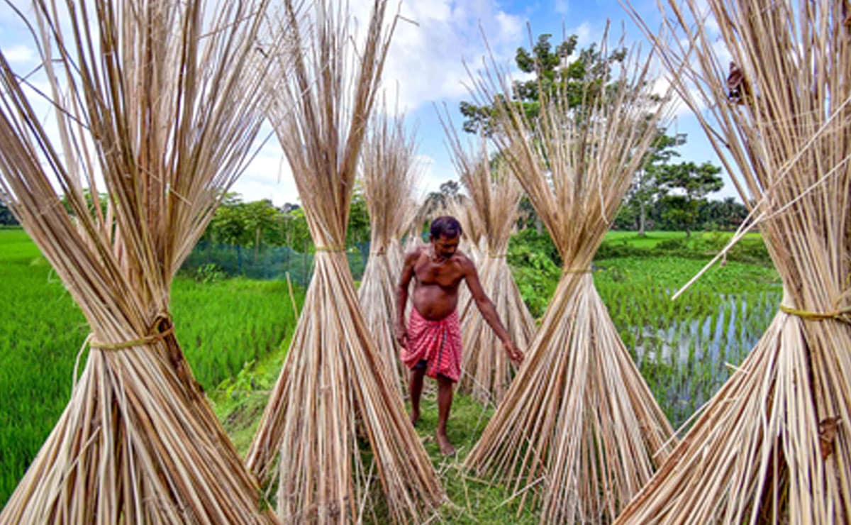 India bans imports of more goods from Bangladesh