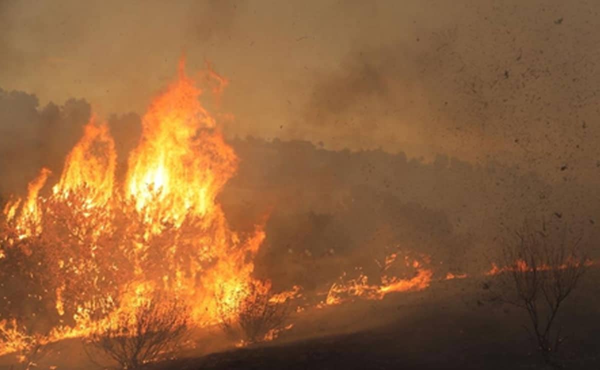 Thousands under evacuation orders as fast-moving wildfire rages in Southern California