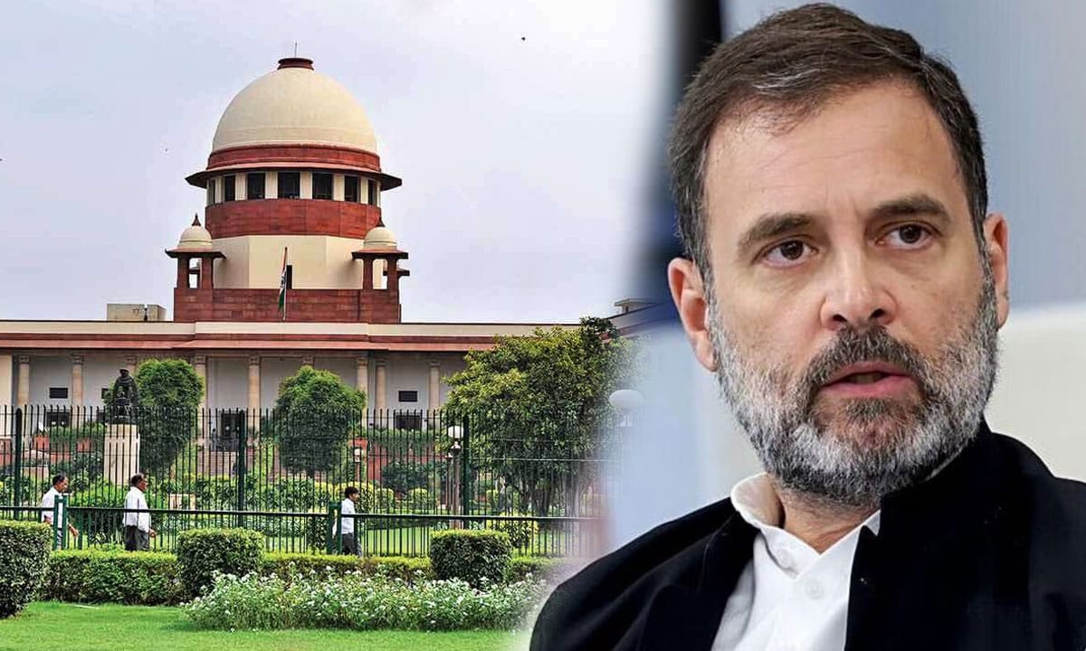 SC Order on Stray Dogs is a Step Back from Decades of Humane Approach, Says Rahul Gandhi