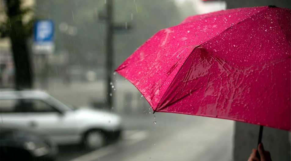 Heavy Rain Forecast