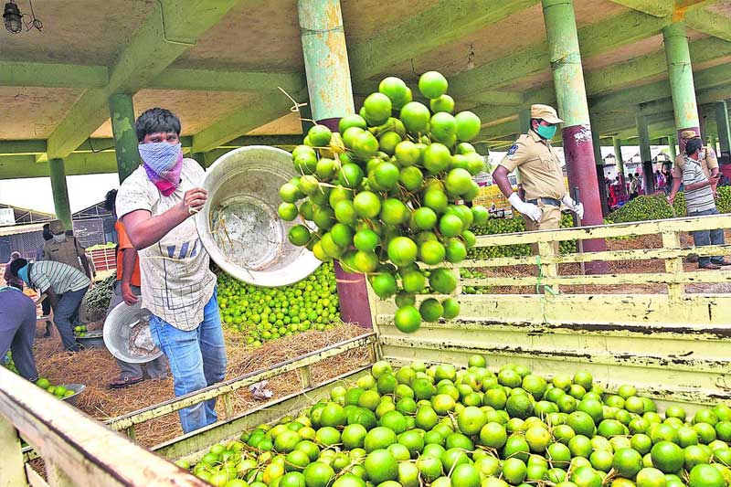 Kothapet Fruit Market to be Shut Down From Sep 25