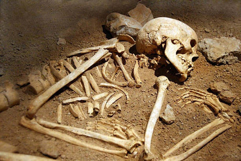 Skeletons of 3 missing girls found in UP forest