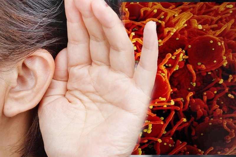 Covid virus can infect inner ear, affect hearing, balance: Study