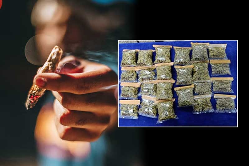 Haryana police seize 673 kg ganja patti, 2 held.