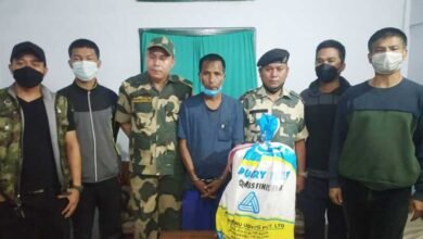 BSF seizes drugs worth Rs 6 cr, one held in Mizoram