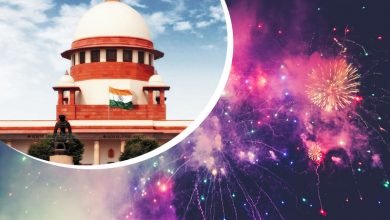 Not against particular festival, celebration: SC says follow cracker ban order strictly