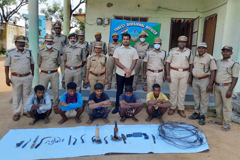 Five tribals held in Telangana for killing tiger