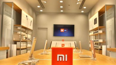 Xiaomi-led Chinese brands capture 74% of India's smartphone market