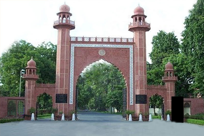 AMU scientists invent novel technology to treat diabetic foot ulcers