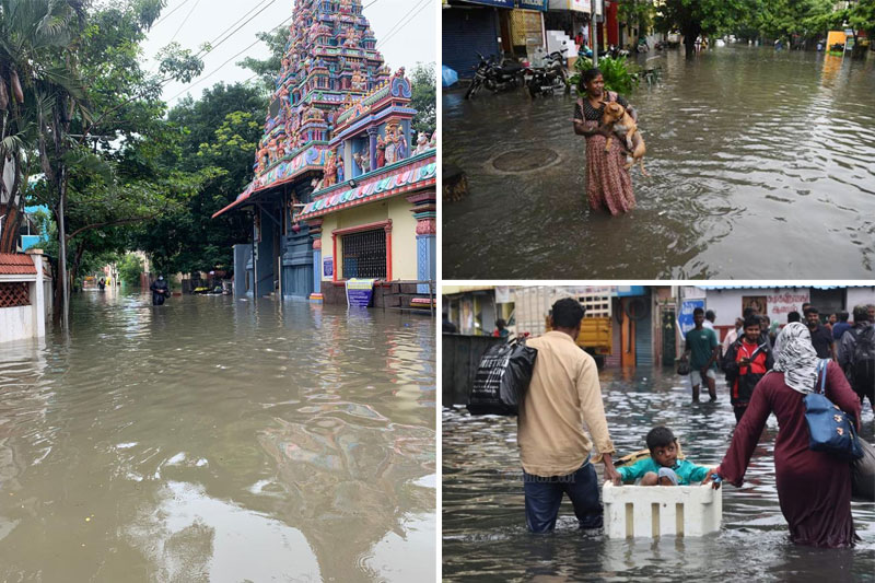 12 people dead in Tamil Nadu rains, says Revenue Minister