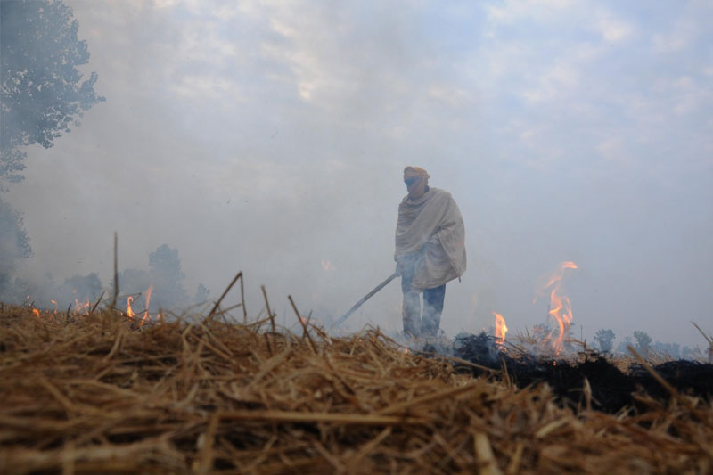 It has become fashion to bash farmers, SC slams Delhi govt on air pollution