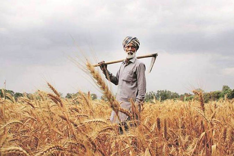 Farm Laws Repeal Bill Passed by Both Houses