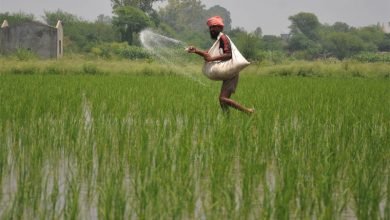 Telangana seeks timely supply of fertilizers from Centre