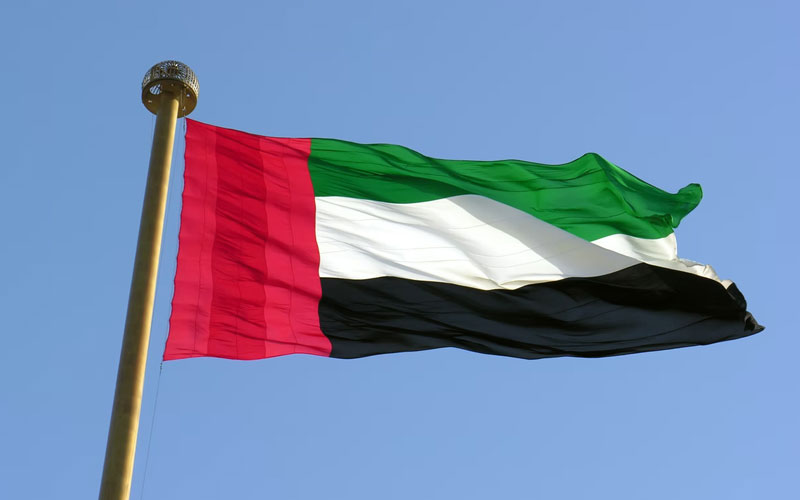 Pandora Papers reveal Emirati royal families' role in offshore havens