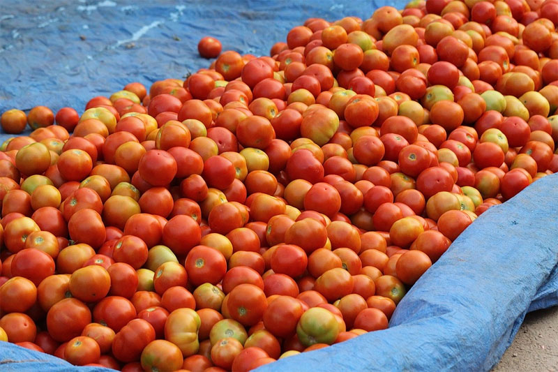 Tomato to Fuel: Inflation Batters India's Middle Class