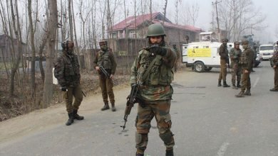 Infiltration Bid Foiled, Searches Started in J&K's Uri Sector