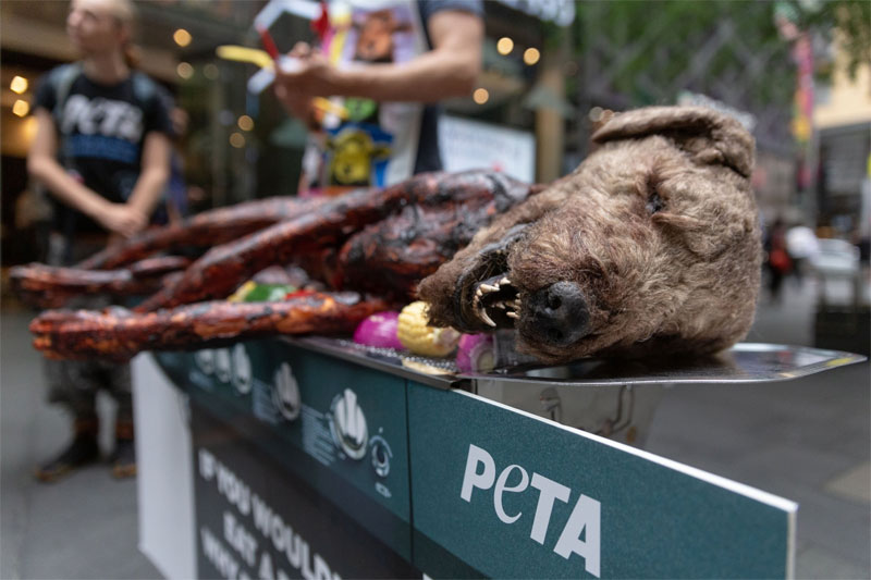 PETA to 'barbecue' dog to create awareness
