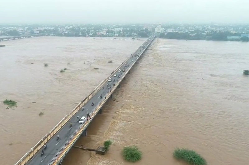 TN to conduct study on farmers' losses due to heavy rain