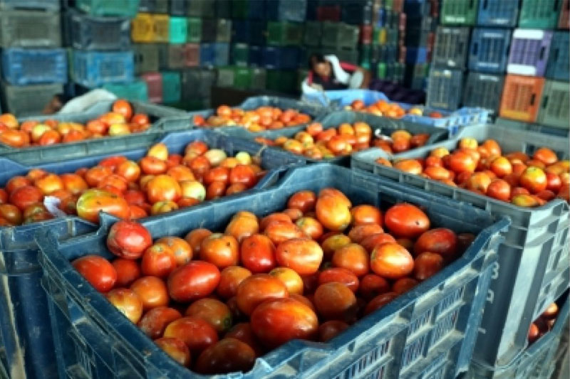 Rains hampered supply chains, led to rising tomatoes, onions prices: Govt