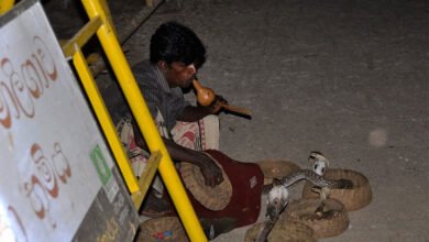 Kerala's famous snake rescuer still critical after cobra bite
