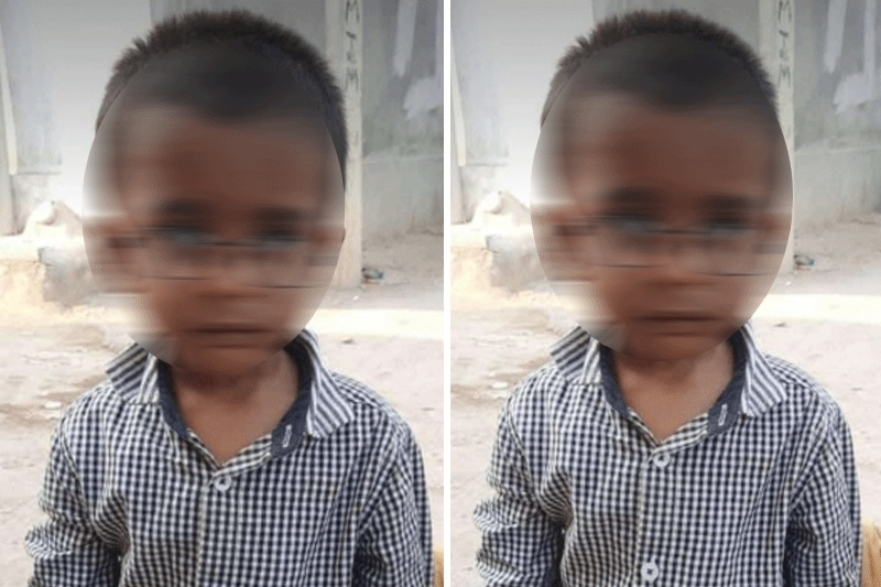 Stray dogs maul child to death in Hyderabad