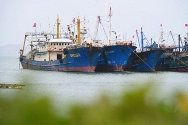 China begins annual summer fishing ban