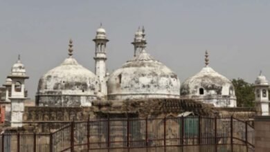 Survey report lists Hindu symbols inside Gyanvapi mosque