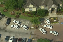 Child, 3 adults killed in Texas Pakistani family murder-suicide: Official