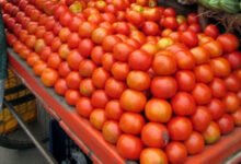 10 sacks of lemons, 35 crates of tomatoes stolen from Gurugram vegetable market