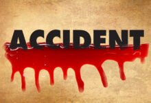 Two persons burnt alive in Telangana car accident