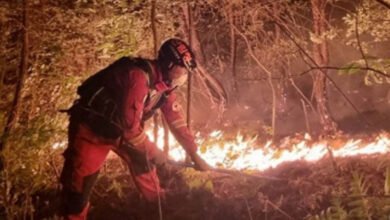 800 fire fighters battle blaze in German national park