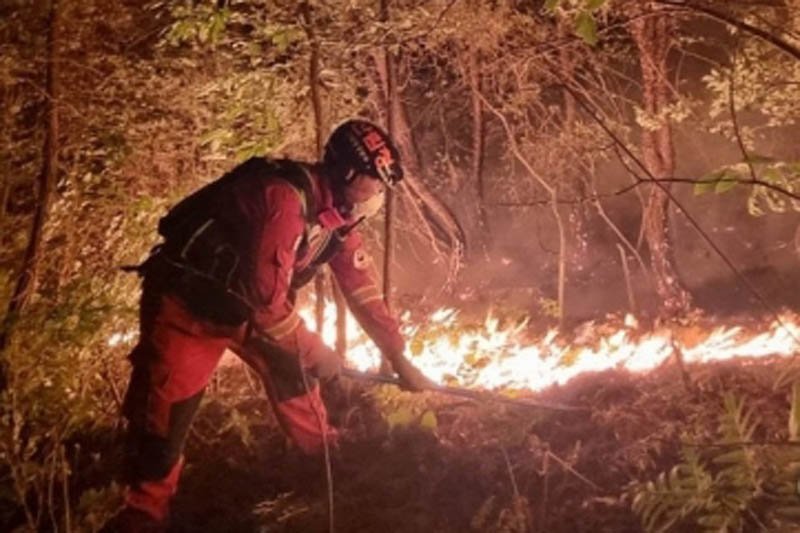 800 fire fighters battle blaze in German national park