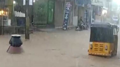 Heavy rain likely in Telangana in next 48 hours : Met