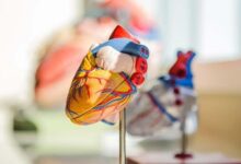 Abnormalities in heart functions may raise dementia risk: Study