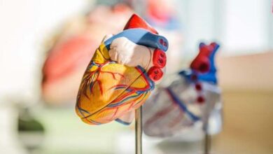 Abnormalities in heart functions may raise dementia risk: Study