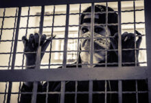 Maid who committed theft in 100 houses arrested