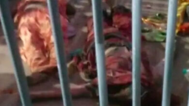 Stampede in Rajasthan's Khutu Shyam temple, three pilgrims die