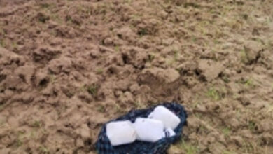 BSF foils narcotics smuggling bid at IB in Jammu, Pak intruder shot
