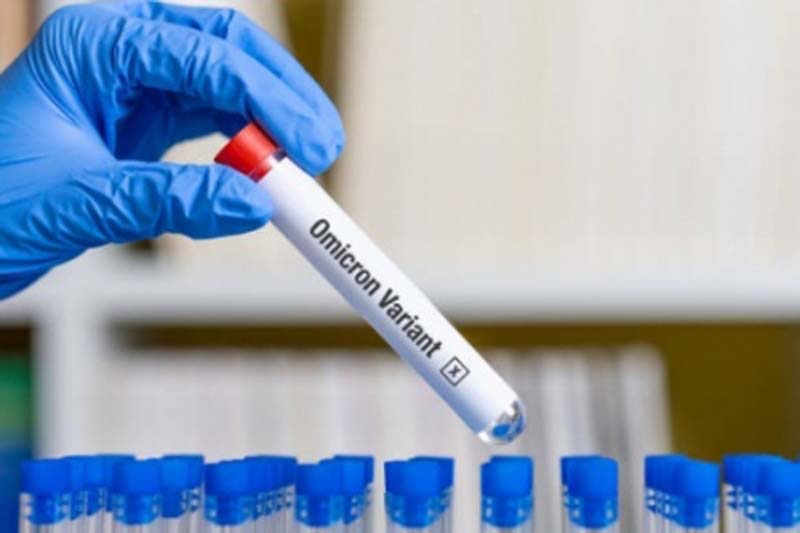 TN man who died of Covid was infected with Omicron XBB variant
